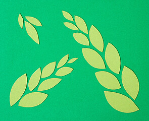 Image showing abstract green paper leaves