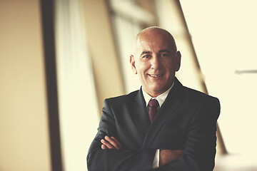 Image showing senior business man portrait