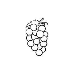 Image showing Bunch of grapes hand drawn sketch icon.