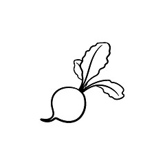 Image showing Turnip hand drawn sketch icon.