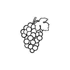 Image showing Bunch of grapes hand drawn sketch icon.
