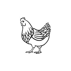 Image showing Chicken hand drawn sketch icon.