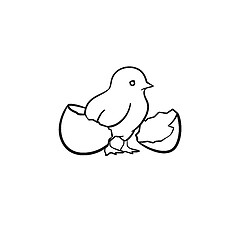 Image showing Chick hand drawn sketch icon.