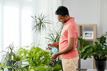 Image showing man spraying houseplant with water at home