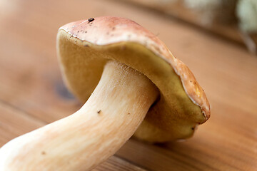 Image showing boletus edulis mushroom on wooden background