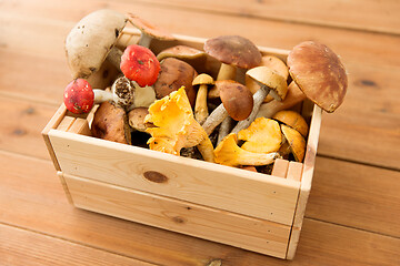 Image showing wooden box of different edible mushrooms