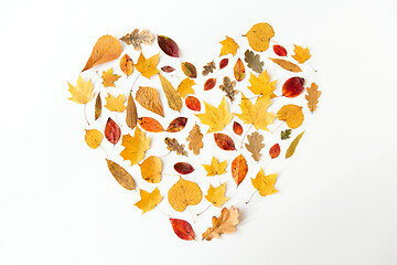 Image showing dry fallen autumn leaves in shape of heart