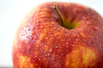 Image showing close up of ripe red apple