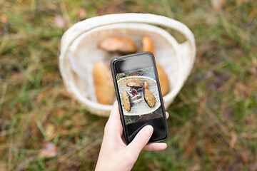 Image showing close up of woman photographing mushrooms