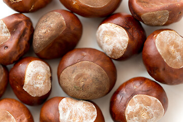 Image showing close up of horse chestnuts on white background