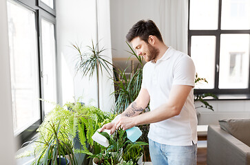 Image showing man spraying houseplants with water at home