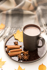 Image showing hot chocolate, autumn leaves and warm blanket