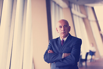 Image showing senior business man portrait