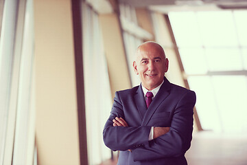 Image showing senior business man portrait