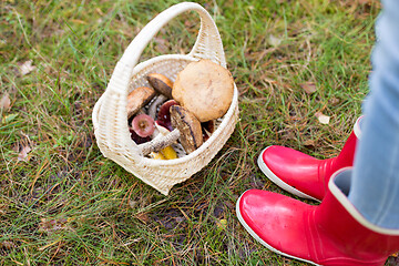 Image showing basket of mushrooms and feet in gumboots in forest