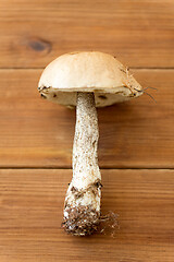 Image showing brown cap boletus mushroom on wooden background