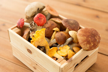 Image showing wooden box of different edible mushrooms