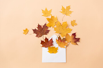 Image showing autumn maple leaves with envelope on beige