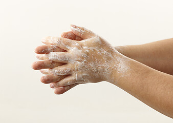 Image showing hands with soap foam