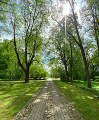 Image showing beautiful summer landscape