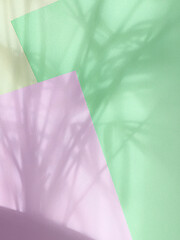 Image showing colored paper background with palm shadows