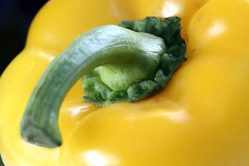 Image showing Shiny peppers 