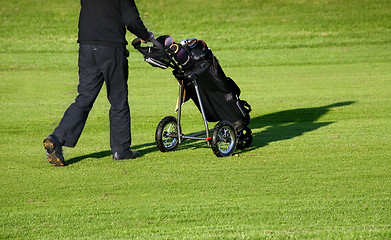 Image showing Golf player