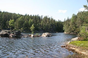 Image showing Forest lake