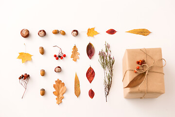 Image showing gift, autumn leaves, acorns and rowanberry