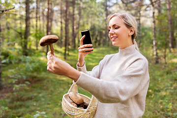 Image showing woman using smartphone to identify mushroom