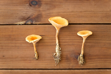 Image showing chanterelles on wooden background