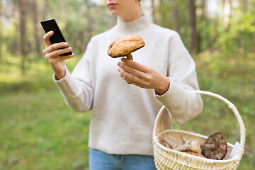 Image showing woman using smartphone to identify mushroom