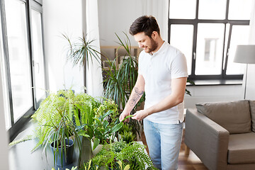 Image showing man taking care of houseplants at home