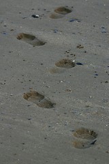 Image showing Footprints in the sand