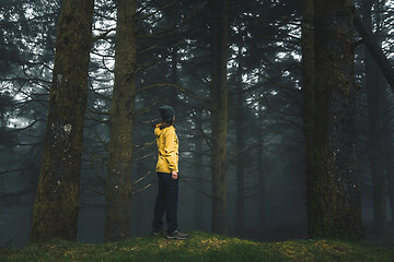 Image showing Traveler looking to a forest