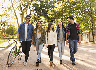 Image showing Students walking together