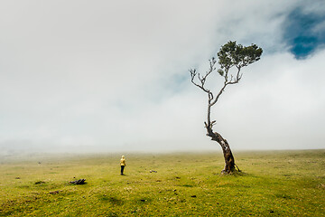 Image showing Just me and Nature