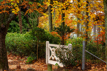 Image showing Autumn gardens