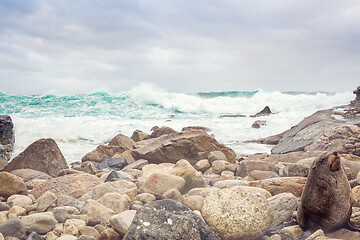 Image showing Large waves surge onto the rocky shore of Sydney headland cliffs