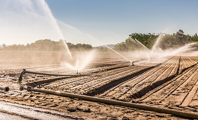 Image showing Irrigation system on a large farm field. Water sprinkler installation.