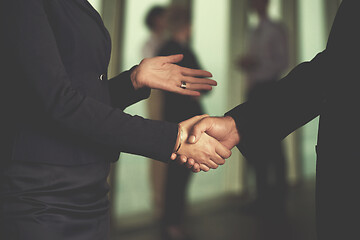 Image showing handshake of business woman and man