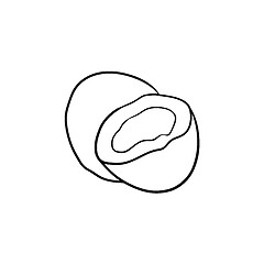 Image showing Coconut hand drawn sketch icon.