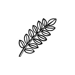 Image showing Leaves on branch hand drawn sketch icon.