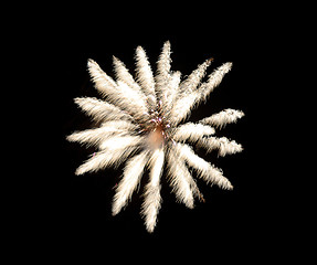 Image showing Fireworks reminding a flower