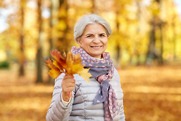 Image showing senior woman with maple leaves at autumn park