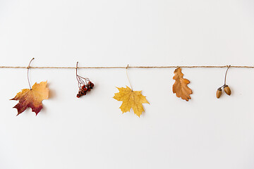 Image showing autumn leaves, acorns and rowanberries on string