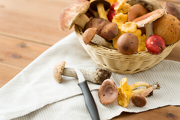 Image showing basket of different edible mushrooms and knife