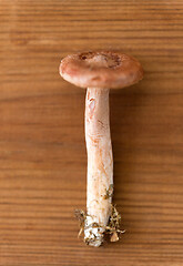 Image showing lactarius rufus mushroom on wooden background