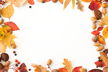 Image showing autumn leaves, chestnuts, acorns and berries frame