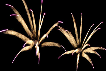 Image showing Fireworks reminding flowers